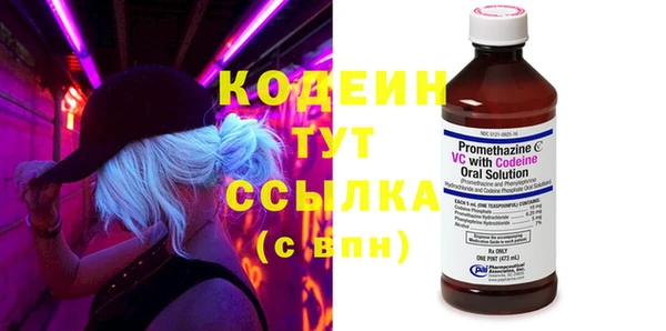 шишки Богородицк