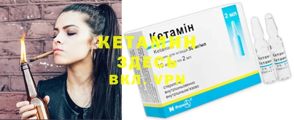 шишки Богородицк