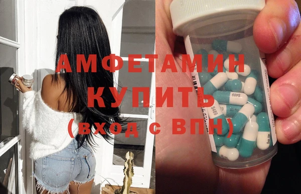 шишки Богородицк