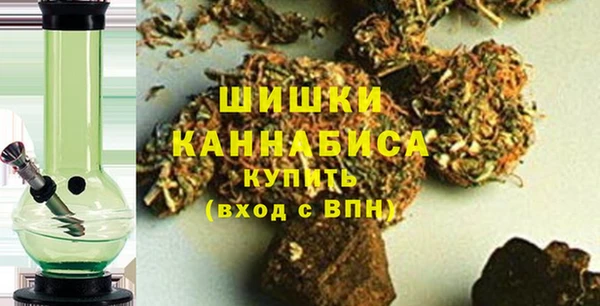 шишки Богородицк
