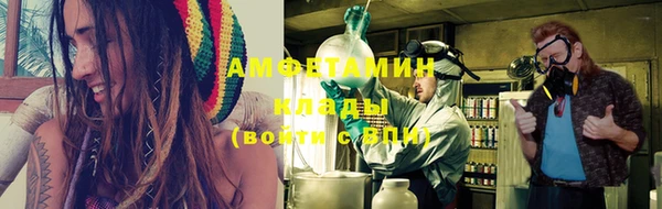 шишки Богородицк
