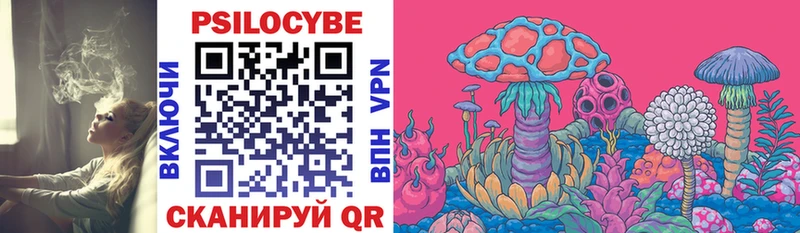 Галлюциногенные грибы мицелий  Старица 